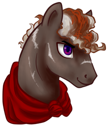Size: 1427x1654 | Tagged: safe, artist:saby, derpibooru exclusive, imported from derpibooru, oc, oc only, oc:cumulonimbus, pegasus, pony, brown coat, bust, cloak, clothes, curly mane, horse heresy, male, purple eyes, scarred, smiling, solo, stallion, striped mane