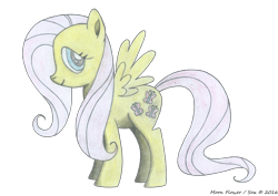 Size: 7016x4980 | Tagged: safe, artist:moon flower, imported from derpibooru, fluttershy, butterfly, insect, pegasus, pony, series:moon flower's fluttershy, 2016, absurd resolution, arthropod, colored, colored pencil drawing, emoticon, equine, female, fur, hair, hasbro, hooves, looking at you, mammal, mane, pencil drawing, pink hair, pink tail, side view, simple background, smiling, solo, spread wings, standing, sticker, tail, traditional art, transparent background, tutorial result, wings, yellow fur
