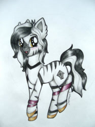 Size: 1024x1366 | Tagged: safe, artist:dexterisse, imported from derpibooru, oc, oc only, zebra, female, mare, simple background, solo, traditional art, white background, zebra oc