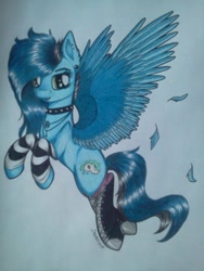 Size: 720x960 | Tagged: safe, artist:blue jay, artist:dexterisse, imported from derpibooru, oc, oc only, pegasus, choker, clothes, pegasus oc, simple background, socks, solo, spiked choker, traditional art, white background