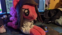 Size: 3840x2160 | Tagged: safe, artist:bluedragonflyplush, imported from derpibooru, photographer:lightningbolt, pegasus, pony, beanie (plushie), clothes, commission, irl, lip piercing, lying down, male, mike fuentes, photo, pierce the veil, piercing, plushie, ponified, prone, shirt, spread wings, stallion, t-shirt, wings