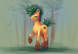 Size: 1000x698 | Tagged: safe, artist:elunian, imported from derpibooru, oc, oc only, oc:pine, earth pony, pony, blurry background, forest background, male, solo, stallion