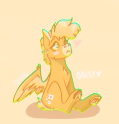 Size: 1561x1617 | Tagged: safe, artist:cloudpeakskate, imported from derpibooru, oc, oc only, pegasus, pony, female, pegasus oc, simple background, solo