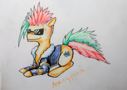 Size: 435x308 | Tagged: safe, artist:elunian, imported from derpibooru, oc, oc only, oc:lussuria, earth pony, pony, clothes, jacket, lying down, multicolored hair, side view, simple background, solo, sunglasses, traditional art