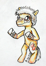 Size: 232x332 | Tagged: safe, artist:elunian, imported from derpibooru, oc, oc only, oc:sasagava, earth pony, pony, bandage, boxer, male, simple background, solo, stallion, standing on two hooves, traditional art