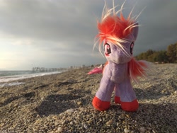 Size: 4128x3096 | Tagged: safe, artist:ferracraft, imported from derpibooru, sugar moonlight, earth pony, pony, beach, female, g5, irl, mare, ocean, photo, plushie, ponies around the world, solo, standing, turkey (country), water