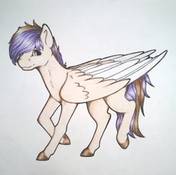 Size: 1024x1021 | Tagged: safe, artist:dexterisse, imported from derpibooru, oc, oc only, oc:lahariel, pegasus, pegasus oc, simple background, solo, traditional art, white background