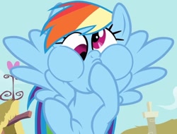 Size: 734x557 | Tagged: safe, imported from derpibooru, screencap, rainbow dash, pegasus, pony, a bird in the hoof, season 1, cropped, cute, dashabetes, derp, female, goofy, mare, puffy cheeks, rainbow dash is best facemaker, rainbow derp, silly, silly pony, solo