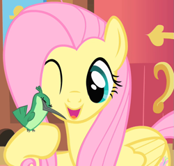 Size: 681x648 | Tagged: safe, imported from derpibooru, screencap, fluttershy, hummingway, bird, hummingbird, pony, a bird in the hoof, season 1, cropped, cute, female, fluttershy's cottage, hoof hold, mare, one eye closed, open mouth, shyabetes