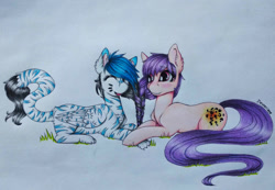 Size: 1023x708 | Tagged: safe, artist:dexterisse, imported from derpibooru, oc, oc only, cat, cat pony, original species, pony, braid, duo, friends, intertwined manes, simple background, stripes, traditional art, white background