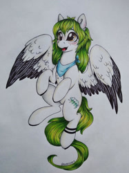 Size: 1024x1366 | Tagged: safe, artist:dexterisse, imported from derpibooru, oc, oc:fatamorgana, pegasus, female, mare, pegasus oc, simple background, solo, traditional art, white background
