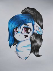 Size: 3000x4000 | Tagged: safe, artist:dexterisse, imported from derpibooru, oc, oc only, female, mare, simple background, solo, traditional art, white background