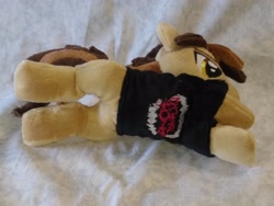 Size: 4096x3072 | Tagged: safe, artist:bluedragonflyplush, imported from derpibooru, earth pony, pony, beanie (plushie), clothes, commission, hoodie, horn, irl, lying down, male, panic! at the disco, photo, plushie, ponified, prone, ryan ross, shirt, solo, stallion, t-shirt