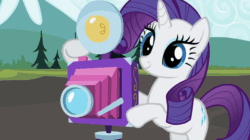 Size: 730x410 | Tagged: safe, imported from derpibooru, screencap, rarity, pony, may the best pet win, animated, camera, camera flash, solo