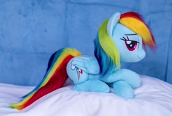 Size: 1200x812 | Tagged: safe, artist:buttercupbabyppg, imported from derpibooru, rainbow dash, pegasus, pony, female, folded wings, irl, lying down, mare, photo, plushie, prone, smiling, solo, wings