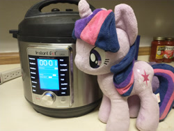 Size: 4608x3456 | Tagged: safe, derpibooru exclusive, imported from derpibooru, twilight sparkle, 4de, instant pot, irl, photo, plushie, pressure cooker, this can only end well, tomato sauce