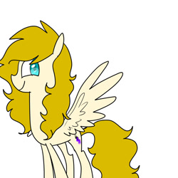 Size: 1024x1024 | Tagged: safe, artist:chandelurres, imported from derpibooru, oc, pony, simple background, solo, spread wings, wings