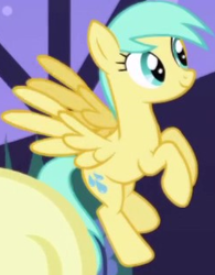 Size: 246x315 | Tagged: safe, imported from derpibooru, screencap, sunshower raindrops, pegasus, pony, friendship is magic, background character, background pony, cropped, female, flying, mare, solo focus, spread wings, wings