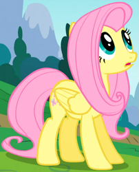 Size: 431x533 | Tagged: safe, imported from derpibooru, screencap, fluttershy, pegasus, pony, season 1, sonic rainboom (episode), amused, cropped, female, looking up, mare, solo