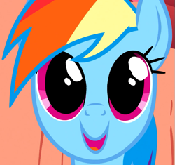 Size: 635x597 | Tagged: safe, imported from derpibooru, screencap, rainbow dash, pegasus, pony, season 1, sonic rainboom (episode), big eyes, close-up, cropped, cute, dashabetes, female, mare, open mouth, open smile, smiling, solo, wide eyes