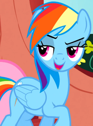 Size: 380x513 | Tagged: safe, imported from derpibooru, screencap, fluttershy, rainbow dash, pegasus, pony, season 1, sonic rainboom (episode), cropped, female, front view, lidded eyes, mare, offscreen character, open mouth, solo focus