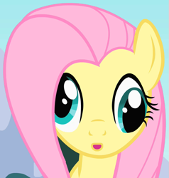 Size: 651x683 | Tagged: safe, imported from derpibooru, screencap, fluttershy, pegasus, pony, season 1, sonic rainboom (episode), :o, cropped, cross-eyed, derp, derpface, female, flutterderp, mare, open mouth, solo