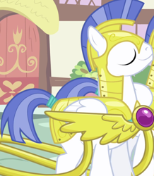 Size: 942x1080 | Tagged: safe, imported from derpibooru, screencap, pegasus, pony, friendship is magic, armor, background character, background pony, cropped, duo, folded wings, male, pegasus royal guard, royal guard, royal guard armor, solo focus, stallion, wings