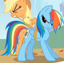 Size: 3528x3459 | Tagged: safe, imported from derpibooru, screencap, applejack, rainbow dash, earth pony, pegasus, pony, fall weather friends, season 1, bondage, cropped, eyes closed, female, frown, high res, mare, mouth hold, rope, unsexy bondage