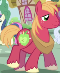 Size: 387x474 | Tagged: safe, imported from derpibooru, screencap, big macintosh, bon bon, linky, shoeshine, sweetie drops, earth pony, pony, friendship is magic, big macintosh's yoke, cropped, horse collar, male, solo focus, stallion