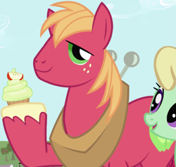 Size: 1061x1006 | Tagged: safe, imported from derpibooru, screencap, big macintosh, earth pony, pony, friendship is magic, big macintosh's yoke, cropped, horse collar, male, solo focus, stallion