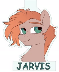 Size: 1555x1875 | Tagged: safe, artist:crimmharmony, imported from derpibooru, oc, oc only, pony, badge, bust, chest fluff, eyebrows, eyebrows visible through hair, freckles, lidded eyes, looking at you, solo