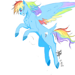 Size: 1024x1024 | Tagged: safe, artist:captainloafnugget, imported from derpibooru, rainbow dash, pegasus, colored wings, flying, multicolored wings, pounce, simple background, wings