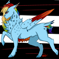 Size: 1000x1000 | Tagged: safe, artist:captainloafnugget, imported from derpibooru, rainbow dash, pegasus, chest fluff, colored wings, fluffy, lines, long mane, multicolored wings, short tail, simple background, tail, wings