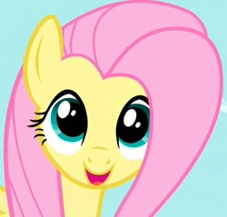 Size: 752x720 | Tagged: safe, imported from derpibooru, screencap, fluttershy, pegasus, pony, season 1, the ticket master, beautiful, cropped, cute, female, hnnng, mare, open mouth, open smile, shyabetes, smiling, solo