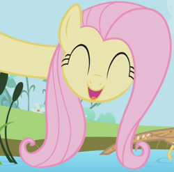 Size: 660x653 | Tagged: safe, imported from derpibooru, screencap, fluttershy, bird, bittern, pegasus, pony, season 1, the ticket master, :d, ^^, animal, cropped, cute, eyes closed, female, long neck, mare, open mouth, open smile, shyabetes, smiling, water