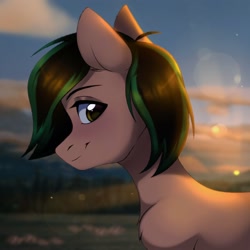 Size: 1500x1500 | Tagged: safe, artist:kaito_wivil, imported from derpibooru, oc, oc only, earth pony, pony, solo