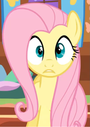 Size: 505x710 | Tagged: safe, imported from derpibooru, screencap, fluttershy, pegasus, pony, season 1, stare master, cropped, female, fluttershy's cottage, i've seen some shit, looking at you, mare, oh shi-!, solo, stare