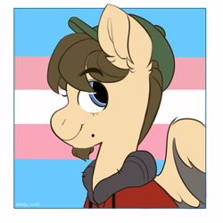 Size: 3000x3000 | Tagged: safe, artist:dejji_vuu, imported from derpibooru, oc, oc only, pegasus, pony, pride flag, solo