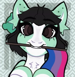 Size: 1982x2048 | Tagged: safe, artist:dejji_vuu, imported from derpibooru, oc, oc only, earth pony, pony, bisexual pride flag, commission, mouth hold, pride, pride flag, solo, ych result