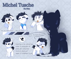 Size: 1685x1399 | Tagged: safe, artist:inkp0ne, imported from derpibooru, oc, oc only, oc:michel tusche, earth pony, pony, michel is such a cute filly, reference sheet