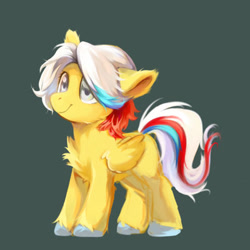 Size: 400x400 | Tagged: safe, artist:wolvierland, imported from derpibooru, oc, pegasus, pony, chest fluff, green background, pegasus oc, simple background, solo