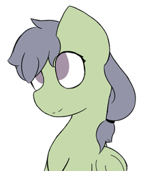Size: 587x708 | Tagged: safe, artist:starstrucksocks, imported from derpibooru, oc, oc only, pony, cute, eyes open, female, green coat, hair tie, mare, ponytail, simple background, white background
