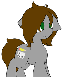 Size: 608x743 | Tagged: safe, artist:starstrucksocks, imported from derpibooru, oc, oc only, earth pony, pony, earth pony oc, female, gray coat, green eyes, mare, simple background, solo, standing, transparent background