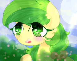Size: 999x800 | Tagged: safe, artist:magicangelstarartist, imported from derpibooru, apple fritter, earth pony, apple family member, blurry background, blushing, ribbon, smiling, solo, starry eyes, wingding eyes
