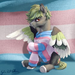 Size: 1257x1259 | Tagged: safe, artist:thatonegib, imported from derpibooru, oc, oc only, pegasus, clothes, commission, hoodie, looking at you, pegasus oc, pride, pride flag, shy, sitting, smiling, solo, transgender pride flag, unshorn fetlocks, wings, ych result