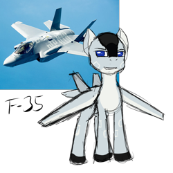 Size: 1000x1000 | Tagged: artist needed, safe, imported from derpibooru, oc, unnamed oc, original species, plane pony, pony, blue eyes, colored hooves, f-35 lightning ii, grin, irl, jet, jet fighter, jet plane, looking at you, male, photo, plane, ponified, real life background, simple background, smiling, smug, solo, stallion, transparent background