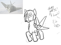 Size: 800x600 | Tagged: artist needed, safe, imported from derpibooru, original species, plane pony, bomb, dialogue, eyes closed, f-117 nighthawk, flying, helmet, implied death, irl, jet, jet fighter, jet plane, photo, plane, raised hooves, simple background, smiling, solo, weapon, white background