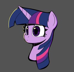 Size: 1140x1118 | Tagged: safe, artist:ponconcarnal, imported from derpibooru, twilight sparkle, pony, unicorn, bust, solo