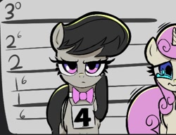 Size: 1331x1024 | Tagged: safe, artist:ponconcarnal, imported from derpibooru, octavia melody, twinkleshine, earth pony, pony, unicorn, bow, crying, line-up, looking at you, mugshot