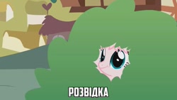 Size: 807x454 | Tagged: safe, artist:mixermike622, edit, imported from derpibooru, oc, oc only, oc:fluffle puff, earth pony, pony, bush, caption, cyrillic, hiding in bushes, image macro, khuppkheighckes, meme, solo, text, ukrainian